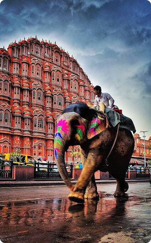 Rajasthan: The Untold Route to the Inner Kingdoms