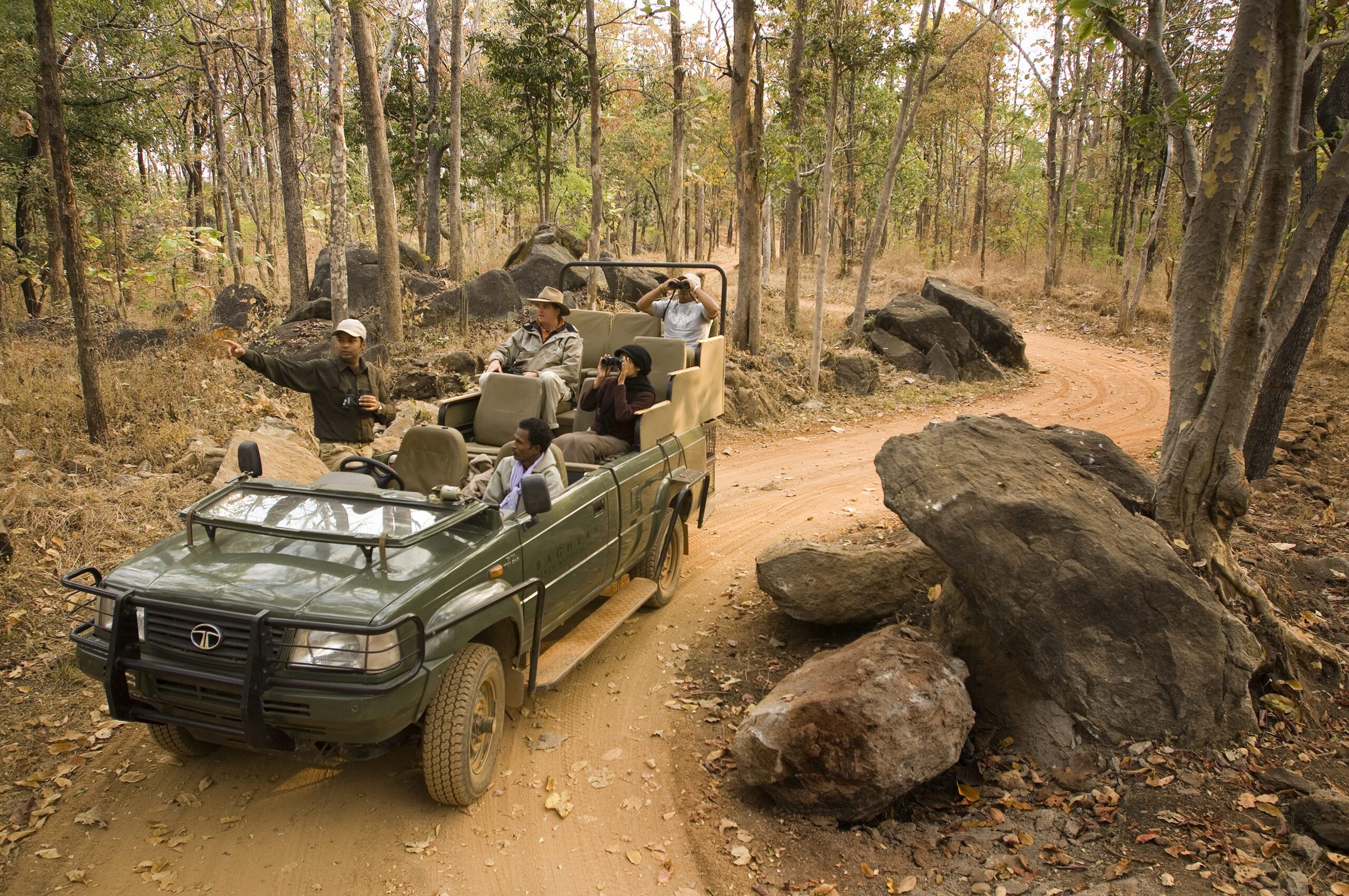 SAFARI