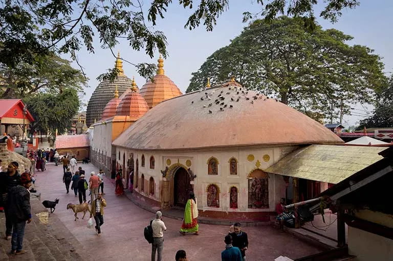 ALL ASSAM ON THE BRAHMAPUTRA 