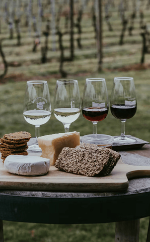 Deccan Heritage & Vineyard Passage