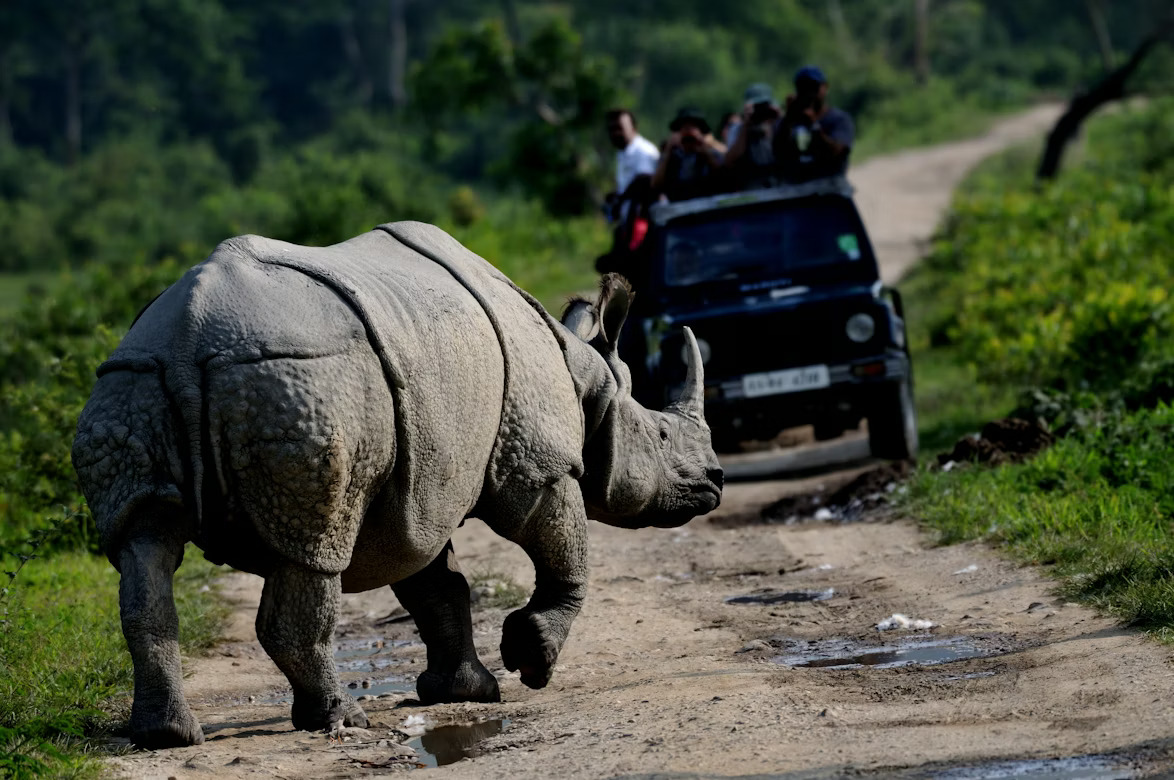 Brahmaputra Wilderness & 