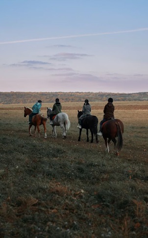 Rajasthan Horse Safari: The Leopard Trail Through the Aravallis