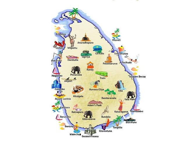 Wild Sri Lanka Leopards, 