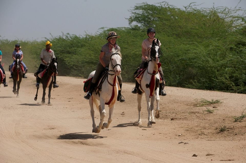 Rajasthan Horse Safari : 