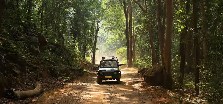 Into the Wild Heart of India – 