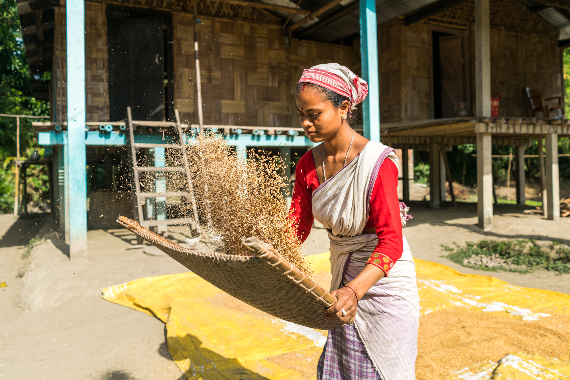 Assam Bengal Navigation River Cruise, 