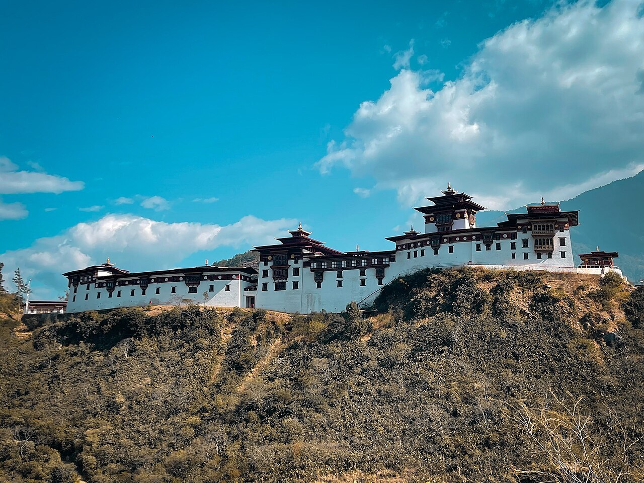Bhutan Reverie : 
