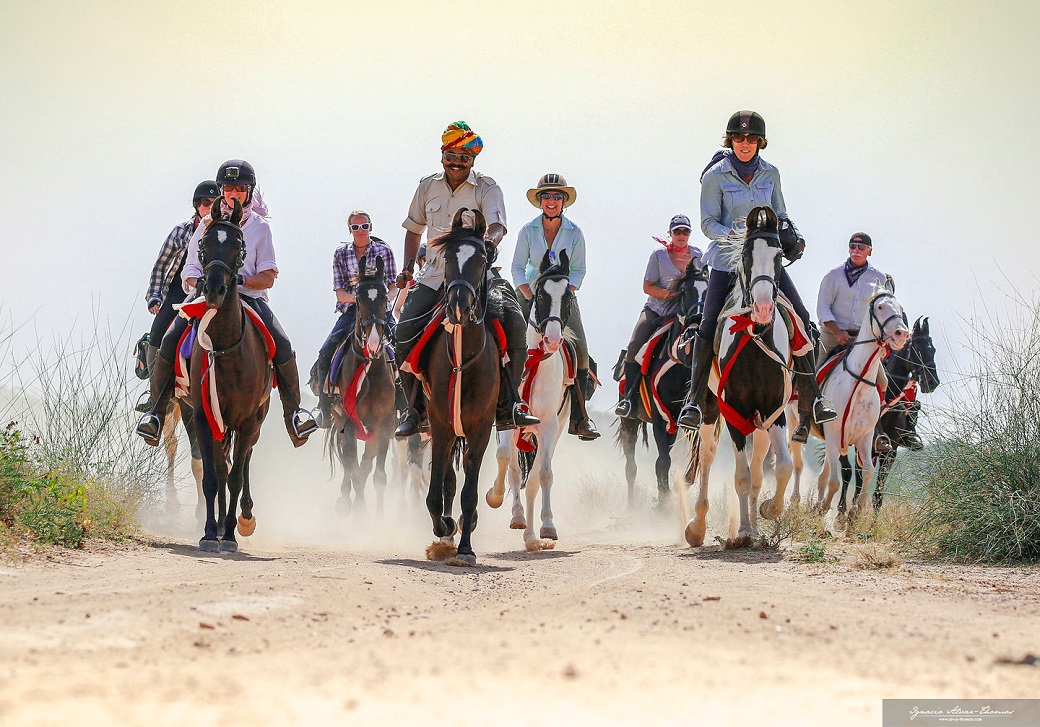 Rajasthan Horse Safari : 