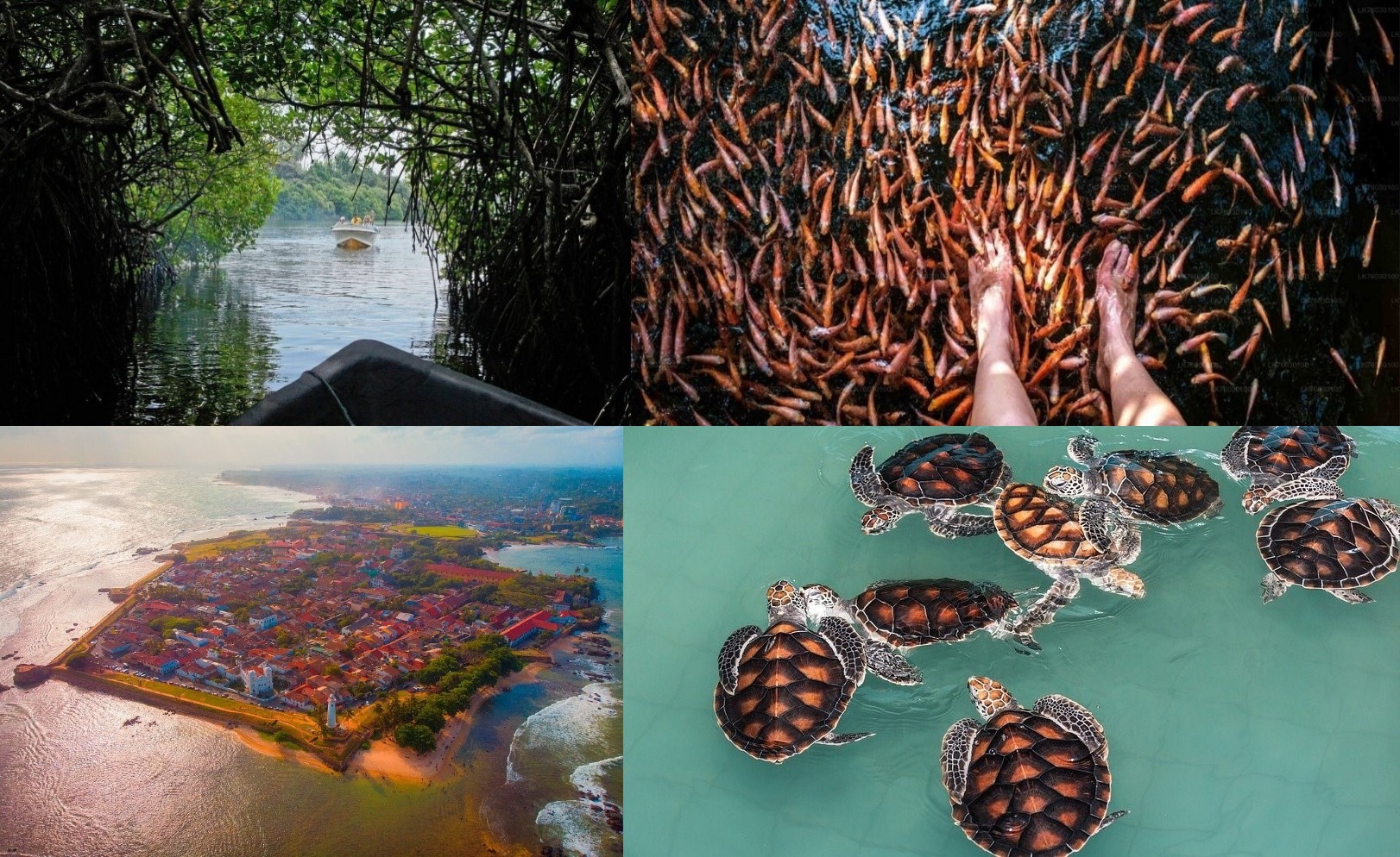 Island Cricket & Coastal Culture : 