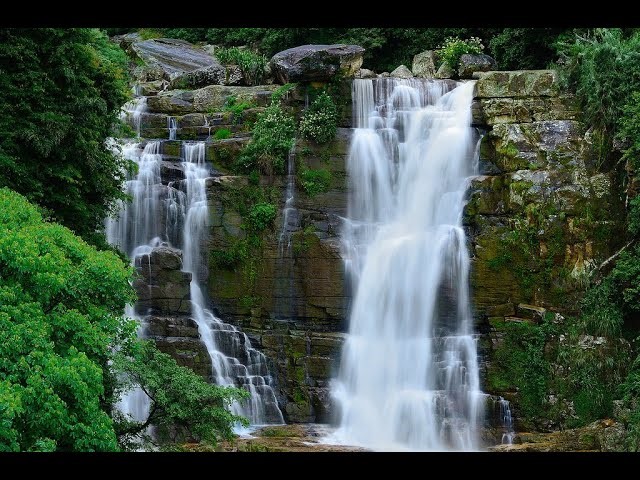 Sri Lanka Adventure : 