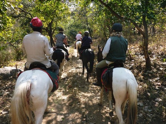 Rajasthan Horse Safari : 