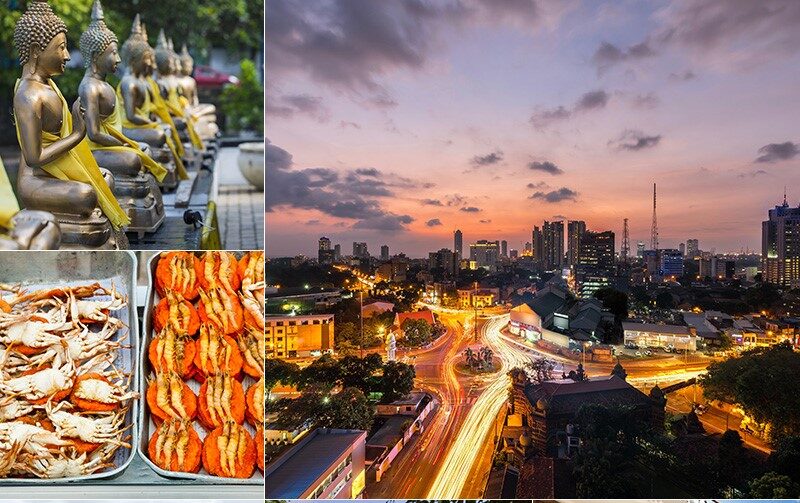 Island Cricket & Coastal Culture : 