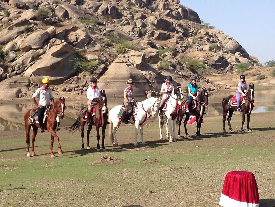 Rajasthan Horse Safari : 