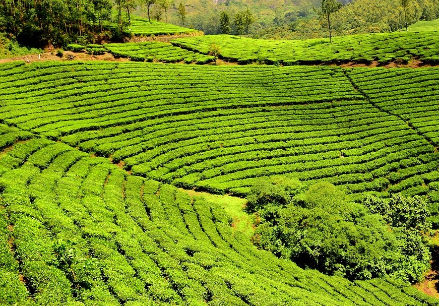 Brahmaputra Wilderness & 
