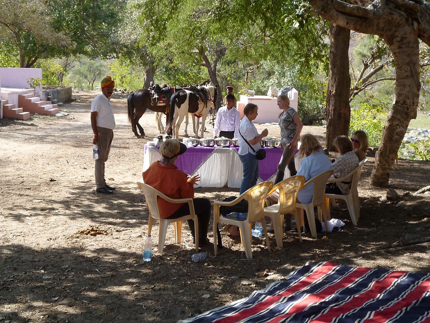 Rajasthan Horse Safari : 