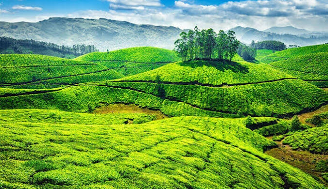 Sacred South Passage: 