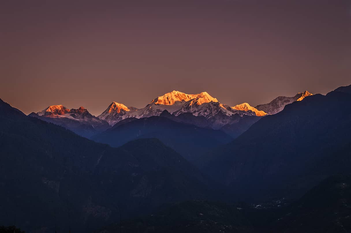 Eastern Himalayan 