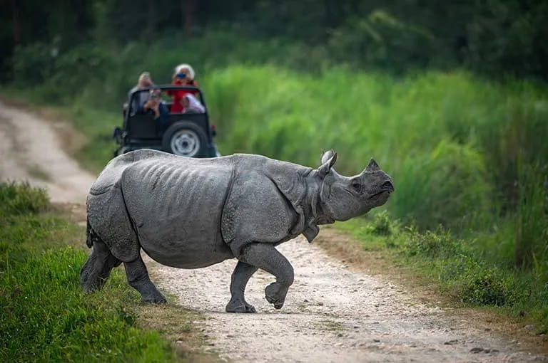 ALL ASSAM ON THE BRAHMAPUTRA 