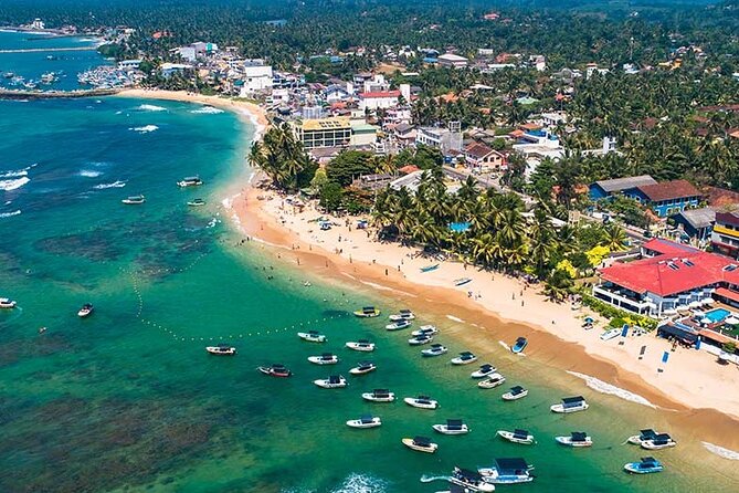 Wild Sri Lanka Leopards, 